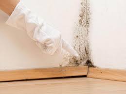 Best Residential Mold Inspection & Testing  in Stony Prairie, OH